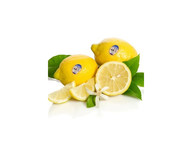 거북농산레몬140과 종류 및 추천-리뷰 스펙 가격 비교