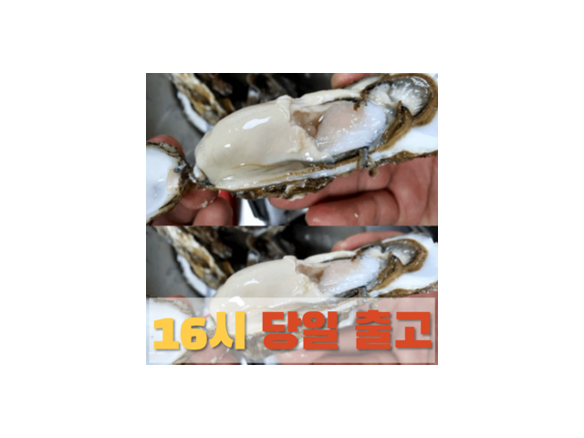 여수각굴 특별한 순간을 위한 아이템