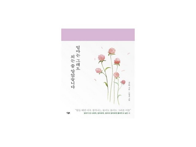 어머니는그래도되는줄알았습니다 가성비 최고 아이템 TOP10 가격 비교 정리