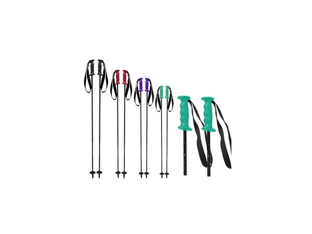 엘림알파인스키폴 내돈내산 솔직 사용후기