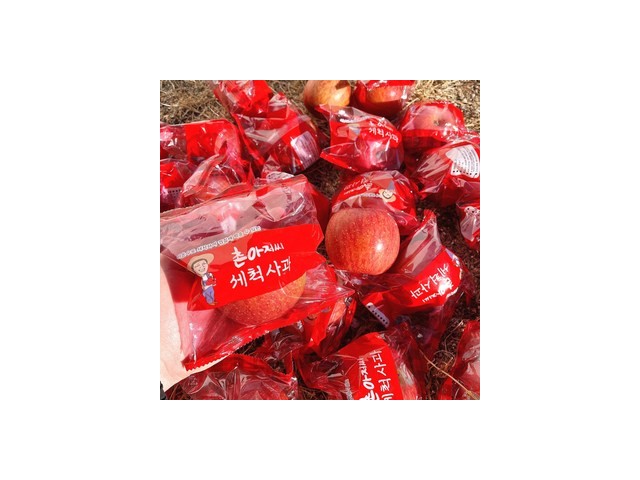 세척꿀사과 추천 이유 및 특징 정리