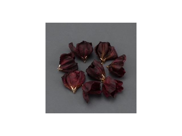 f16507 추천: 소비자가 인정한 가성비 최강템