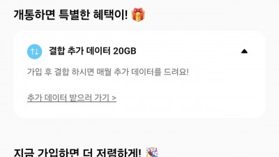 핀다이렉트SK 100기가+5MPS 3300원